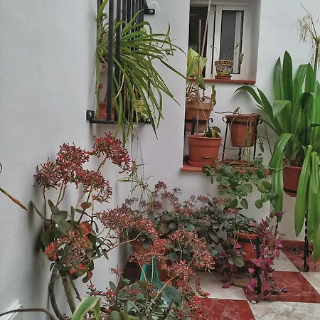 Hotel El Molino 2*